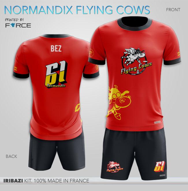 design normandix red