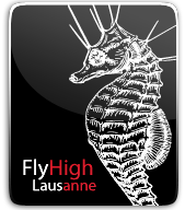 flyhigh thumbnail