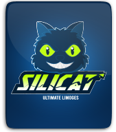 Silicat Limoges Ultimate thumbnail